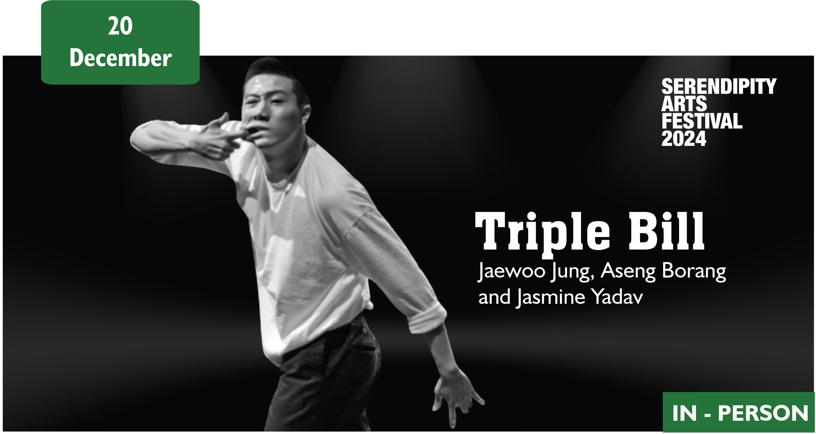 serendipity arts festival banner